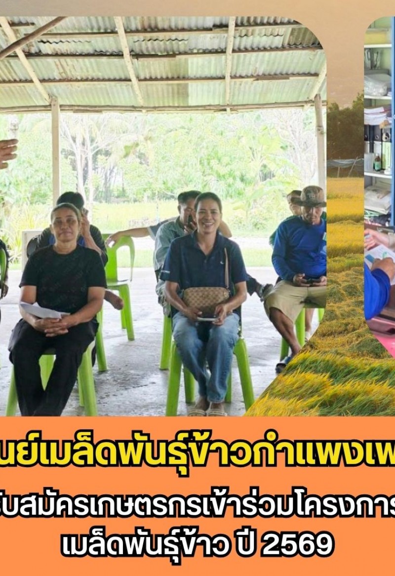 กำแพงเพชร-ศูนย์เมล็ดพันธุ์ข้าวกำแพงเพชร ประชาสัมพันธ์และรับสมัครเกษตรกรเข้าร่วมโครงการส่งเสริมการเปลี่ยนเมล็ดพันธุ์ข้าว ปี 2569