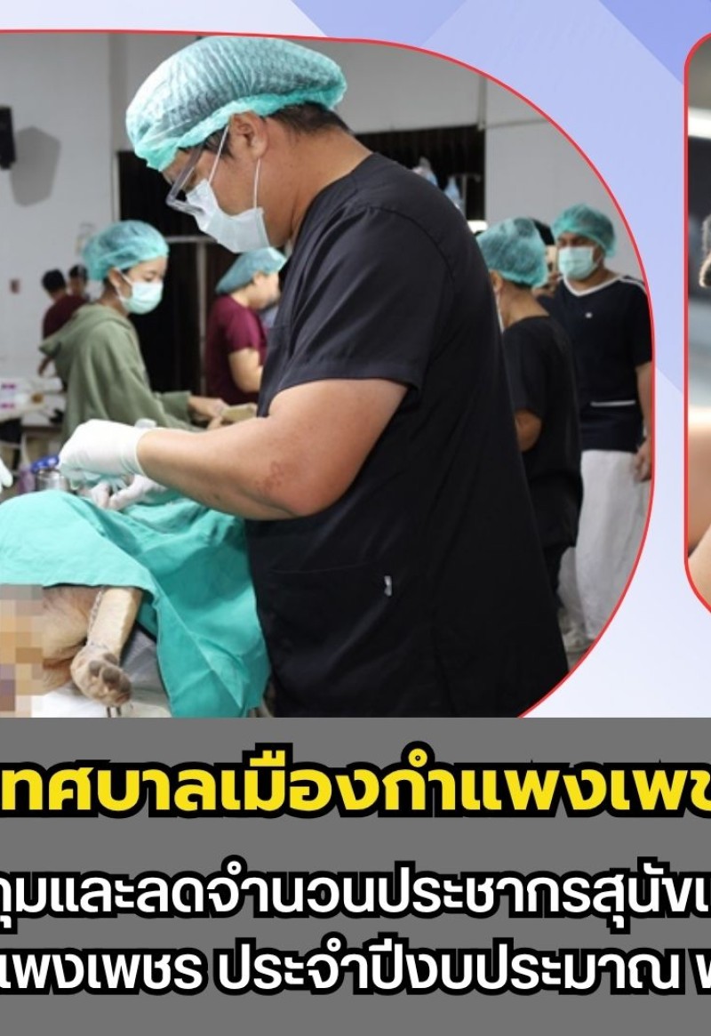 กำแพงเพชร-เทศบาลเมืองกำแพงเพชร จัดทำโครงการควบคุมและลดจำนวนประชากรสุนัขและแมวในเขตเทศบาลเมืองกำแพงเพชร ประจำปีงบประมาณ พ.ศ.2569