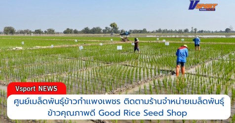กำแพงเพชร-ศูนย์เมล็ดพันธุ์ข้าวกำเเพงเพชร ติดตามร้านจำหน่ายเมล็ดพันธุ์ ...