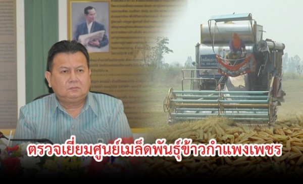 กำแพงเพชร-ผู้ว่าราชการจังหวัดกำแพงเพชร ตรวจเยี่ยมศูนย์เมล็ดพันธุ์ข้าวกำแพงเพชร