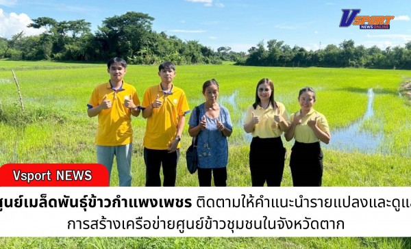 กำแพงเพชร-ศูนย์เมล็ดพันธุ์ข้าวกำแพงเพชร ติดตามให้คำแนะนำรายแปลงและดูแลการสร้างเครือข่ายศูนย์ข้าวชุมชนในจังหวัดตาก