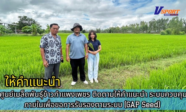 กำแพงเพชร-ศูนย์เมล็ดพันธุ์ข้าวกำแพงเพชร ติดตามให้คำแนะนำ ระบบควบคุมภายในเพื่อขอการรับรองตามระบบ (GAP Seed)