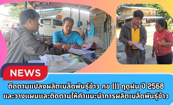 กำแพงเพชร-ศูนย์เมล็ดพันธุ์ข้าวกำแพงเพชร ติดตามแปลงผลิตเมล็ดพันธุ์ข้าว กข111 ฤดูฝน ปี 2568 และวางแผนและติดตามให้คำแนะนำการผลิตเมล็ดพันธุ์ข้าว