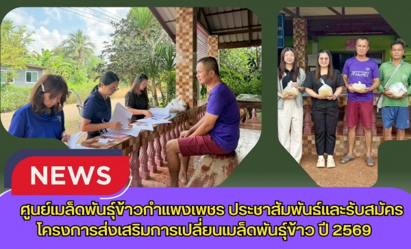 กำแพงเพชร-ศูนย์เมล็ดพันธุ์ข้าวกำแพงเพชร ประชาสัมพันธ์และรับสมัครโครงการส่งเสริมการเปลี่ยนเมล็ดพันธุ์ข้าว ปี 2569