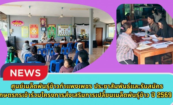 กำแพงเพชร-ศูนย์เมล็ดพันธุ์ข้าวกำแพงเพชร ประชาสัมพันธ์และรับสมัครเกษตรกรเข้าร่วมโครงการส่งเสริมการเปลี่ยนเมล็ดพันธุ์ข้าว ปี 2569