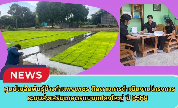 กำแพงเพชร-ศูนย์เมล็ดพันธุ์ข้าวกำแพงเพชร ติดตามการดำเนินงานโครงการระบบส่งเสริมเกษตรแบบแปลงใหญ่ ปี 2569
