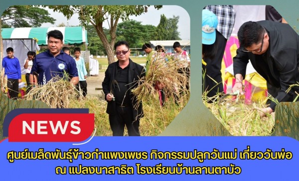 กำแพงเพชร-ศูนย์เมล็ดพันธุ์ข้าวกำแพงเพชร กิจกรรมปลูกวันแม่ เกี่ยววันพ่อ ณ แปลงนาสาธิต โรงเรียนบ้านลานตาบัว ณ ตำบล ประชาสุขสันต์ อำเภอลานกระบือ