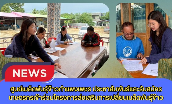 กำแพงเพชร-ศูนย์เมล็ดพันธุ์ข้าวกำแพงเพชร ประชาสัมพันธ์และรับสมัครเกษตรกรเข้าร่วมโครงการส่งเสริมการเปลี่ยนเมล็ดพันธุ์ข้าว