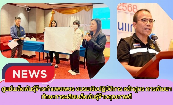 กำแพงเพชร-ศูนย์เมล็ดพันธุ์ข้าวกำแพงเพชร อบรมเชิงปฏิบัติการ หลักสูตร การพัฒนาทักษะการผลิตเมล็ดพันธุ์ข้าวคุณภาพดี
