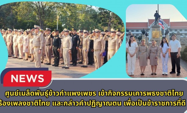 กำแพงเพชร-ศูนย์เมล็ดพันธุ์ข้าวกำแพงเพชร เข้ากิจกรรมเคารพธงชาติไทย ร้องเพลงชาติไทย และกล่าวคำปฏิญาณตน เพื่อเป็นข้าราชการที่ดี