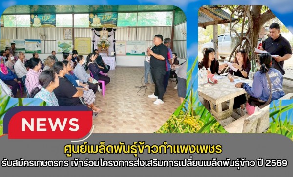 กำแพงเพชร-ศูนย์เมล็ดพันธุ์ข้าวกำแพงเพชร ประชาสัมพันธ์และรับสมัครเกษตรกรเข้าร่วมโครงการส่งเสริมการเปลี่ยนเมล็ดพันธุ์ข้าว ปี 2569