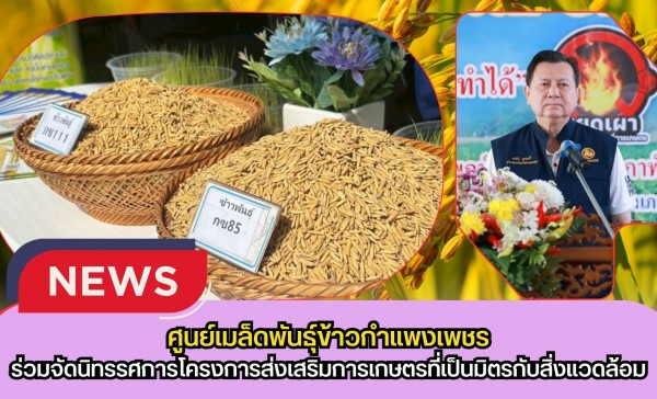 กำแพงเพชร-ศูนย์เมล็ดพันธุ์ข้าวกำแพงเพชร ดำเนินการติดตามให้คำแนะนำการผลิตเมล็ดพันธุ์ข้าวและผลิตข้าวคุณภาพดี