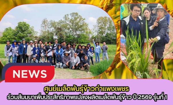 กำแพงเพชร-ศูนย์เมล็ดพันธุ์ข้าวกำแพงเพชร ร่วมสัมมนาเพิ่มประสิทธิภาพแปลงผลิตเมล็ดพันธุ์ข้าว ปี 2569 รุ่นที่ 1