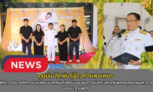 กำแพงเพชร-ศูนย์เมล็ดพันธุ์ข้าวกำแพงเพชร พิธีถวายราชสักการะแด่พระบาทสมเด็จพระบรมชนกาธิเบศร มหาภูมิพลอดุลยเดชมหาราช บรมนาถบพิตร