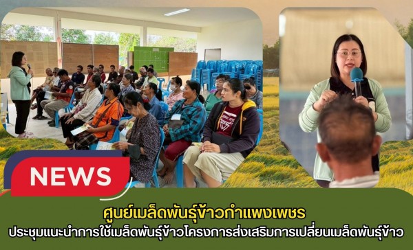 กำแพงเพชร-ศูนย์เมล็ดพันธุ์ข้าวกำแพงเพชร ประชุมแนะนำการใช้เมล็ดพันธุ์ข้าวโครงการส่งเสริมการเปลี่ยนเมล็ดพันธุ์ข้าว ปี 2569