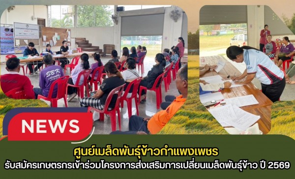 กำแพงเพชร-ศูนย์เมล็ดพันธุ์ข้าวกำแพงเพชร ประชาสัมพันธ์ และรับสมัครเกษตรกรเข้าร่วมโครงการส่งเสริมการเปลี่ยนเมล็ดพันธุ์ข้าว ปี 2569