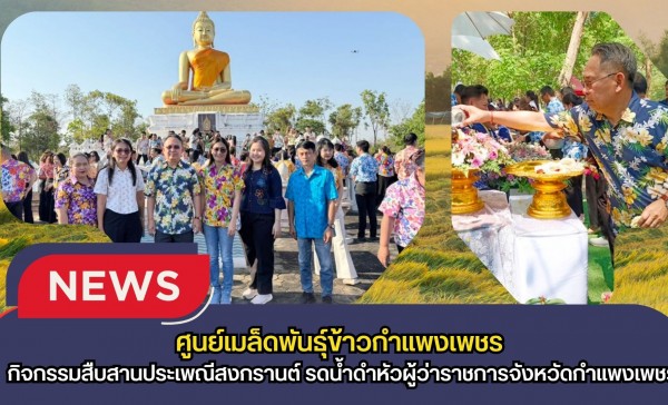 กำแพงเพชร-ศูนย์เมล็ดพันธุ์ข้าวกำแพงเพชร ร่วมกิจกรรมสืบสานประเพณีสงกรานต์ รดน้ำดำหัวผู้ว่าราชการจังหวัดกำแพงเพชร
