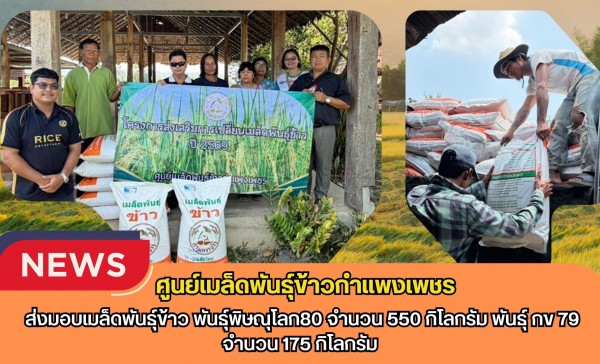 กำแพงเพชร-ศูนย์เมล็ดพันธุ์ข้าวกำแพงเพชร ส่งมอบเมล็ดพันธุ์ข้าว พันธุ์พิษณุโลก80 จำนวน 550 กิโลกรัม พันธุ์ กข 79 จำนวน 175 กิโลกรัม