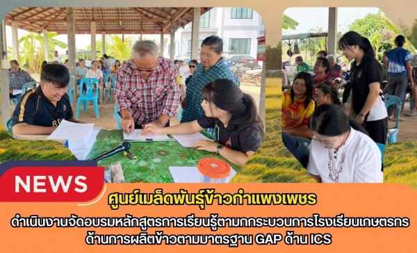 กำแพงเพชร-ศูนย์เมล็ดพันธุ์ข้าวกำแพงเพชร ดำเนินงานจัดอบรมหลักสูตรการเรียนรู้ตามกกระบวนการโรงเรียนเกษตรกรด้านการผลิตข้าวตามมาตรฐาน GAP ด้าน ICS
