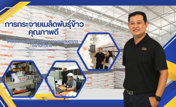 การกระจายเมล็ดพันธุ์ข้าวคุณภาพดี ให้เพียงพอต่อความต้องการของเกษตรกรอย่างทั่วถึง ของศูนย์เมล็ดพันธุ์ข้าวสุพรรณบุรี