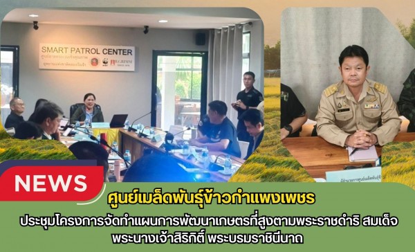 กำแพงเพชร-ศูนย์เมล็ดพันธุ์ข้าวกำเเพงเพชร ประชุมโครงการจัดทำแผนการพัฒนาเกษตรที่สูงตามพระราชดำริ สมเด็จพระนางเจ้าสิริกิติ์ พระบรมราชินีนาถ