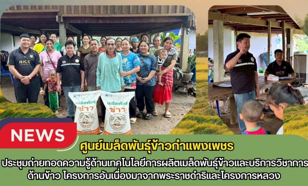 กำแพงเพชร-ศูนย์เมล็ดพันธุ์ข้าวกำเเพงเพชร จัดประชุมถ่ายทอดความรู้ด้านเทคโนโลยีการผลิตเมล็ดพันธุ์ข้าวและบริการวิชาการด้านข้าว
