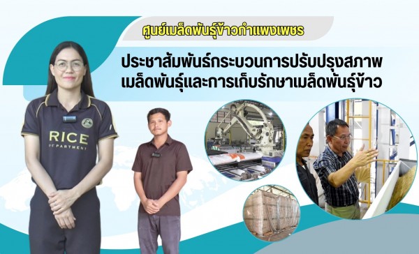 กำแพงเพชร-ศูนย์เมล็ดพันธุ์ข้าวกำแพงเพชร ประชาสัมพันธ์กระบวนการปรับปรุงสภาพเมล็ดพันธุ์ข้าว และการเก็บรักษาเมล็ดพันธุ์ข้าว 