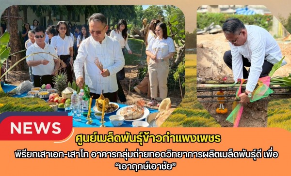 กำแพงเพชร-ศูนย์เมล็ดพันธุ์ข้าวกำแพงเพชร พิธียกเสาเอก-เสาโท อาคารกลุ่มถ่ายทอดวิทยาการผลิตเมล็ดพันธุ์ดี เพื่อ“เอาฤกษ์เอาชัย”