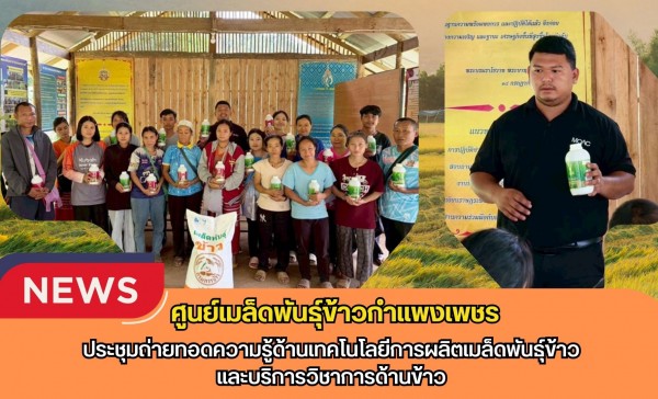 กำแพงเพชร-ศูนย์เมล็ดพันธุ์ข้าวกำแพงเพชร ประชุมถ่ายทอดความรู้ด้านเทคโนโลยีการผลิตเมล็ดพันธุ์ข้าว และบริการวิชาการด้านข้าว