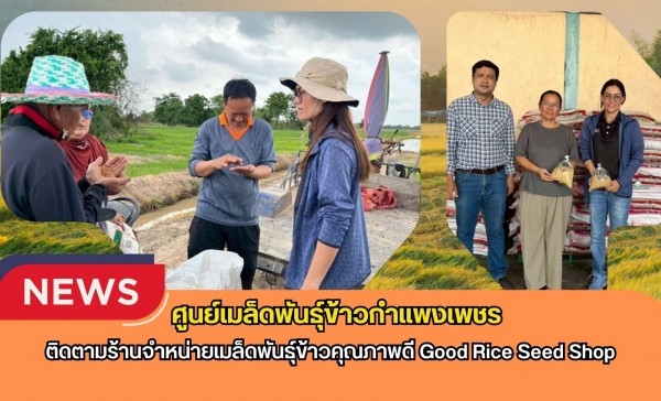 กำแพงเพชร-ศูนย์เมล็ดพันธุ์ข้าวกำแพงเพชร ติดตามร้านจำหน่ายเมล็ดพันธุ์ข้าวคุณภาพดี Good Rice Seed Shop