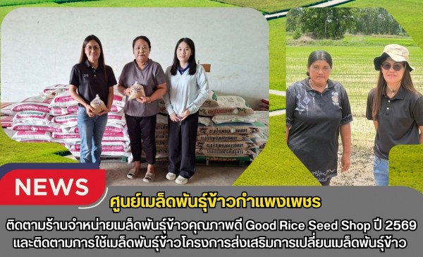 กำแพงเพชร-ศูนย์เมล็ดพันธุ์ข้าวกำแพงเพชร ติดตามร้านจำหน่ายเมล็ดพันธุ์ข้าวคุณภาพดี Good Rice Seed Shop ปี 2569