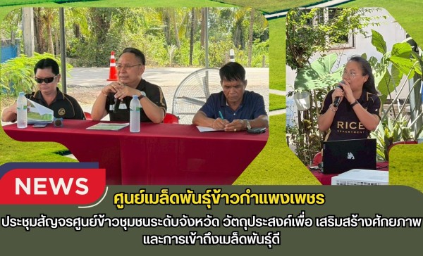 กำแพงเพชร-ศูนย์เมล็ดพันธุ์ข้าวกำแพงเพชร ประชุมสัญจรศูนย์ข้าวชุมชนระดับจังหวัด วัตถุประสงค์เพื่อเสริมสร้างศักยภาพและการเข้าถึงเมล็ดพันธุ์ดี