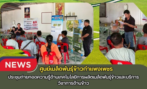 กำแพงเพชร-ศูนย์เมล็ดพันธุ์ข้าวกำแพงเพชร ประชุมถ่ายทอดความรู้ด้านเทคโนโลยีการผลิตเมล็ดพันธุ์ข้าวและบริการวิชาการด้านข้าว