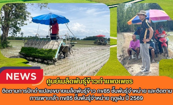 กำแพงเพชร-ศูนย์เมล็ดพันธุ์ข้าวกำแพงเพชร ติดตามการปักดำแปลงขยายเมล็ดพันธุ์ข้าว กข85 ชั้นพันธุ์จำหน่าย และติดตามการเพาะกล้า กข85 ชั้นพันธุ์จำหน่าย ฤดูฝน ปี 2569
