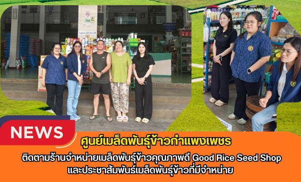 กำแพงเพชร-ศูนย์เมล็ดพันธุ์ข้าวกำแพงเพชร ติดตามร้านจำหน่ายเมล็ดพันธุ์ข้าวคุณภาพดี Good Rice Seed Shopและประชาสัมพันธ์เมล็ดพันธุ์ข้าวที่มีจำหน่าย