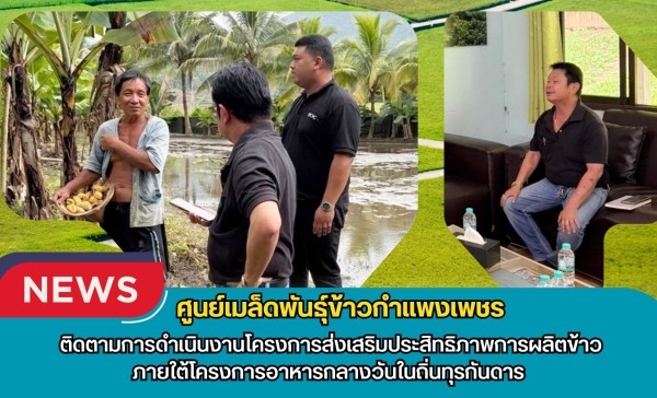กำแพงเพชร-ศูนย์เมล็ดพันธุ์ข้าวกำแพงเพชร ติดตามการดำเนินงานโครงการส่งเสริมประสิทธิภาพการผลิตข้าว ภายใต้โครงการอาหารกลางวันในถิ่นทุรกันดาร