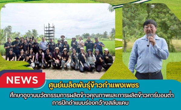 กำแพงเพชร-ศูนย์เมล็ดพันธุ์ข้าวกำแพงเพชร ศึกษาดูงานนวัตกรรมการผลิตข้าวคุณภาพและการผลิตข้าวคาร์บอนต่ำ การปักดำแบบร่องกว้างสลับแคบ