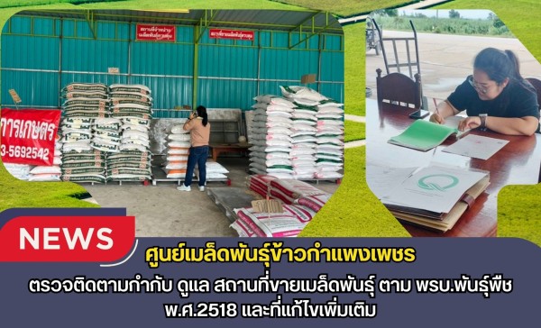 กำแพงเพชร-ศูนย์เมล็ดพันธุ์ข้าวกำแพงเพชร ตรวจติดตามกำกับ ดูแล สถานที่ขายเมล็ดพันธุ์ ตาม พรบ.พันธุ์พืช พ.ศ.2518 และที่แก้ไขเพิ่มเติม