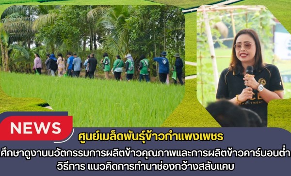 กำแพงเพชร-ศูนย์เมล็ดพันธุ์ข้าวกำแพงเพชร ศึกษาดูงานนวัตกรรมการผลิตข้าวคุณภาพและการผลิตข้าวคาร์บอนต่ำ วิธีการ แนวคิดการทำนาช่องกว้างสลับแคบ