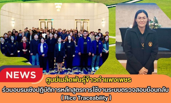 กำแพงเพชร-ศูนย์เมล็ดพันธุ์ข้าวกำแพงเพชร ร่วมอบรมเชิงปฏิบัติการหลักสูตรการใช้งานระบบตรวจสอบย้อนกลับ ( Rice Traceability )
