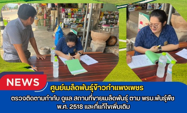 กำแพงเพชร-ศูนย์เมล็ดพันธุ์ข้าวกำแพงเพชร ตรวจติดตามกำกับ ดูแล สถานที่ขายเมล็ดพันธุ์ ตาม พรบ.พันธุ์พืช พ.ศ.2518 และที่แก้ไขเพิ่มเติม