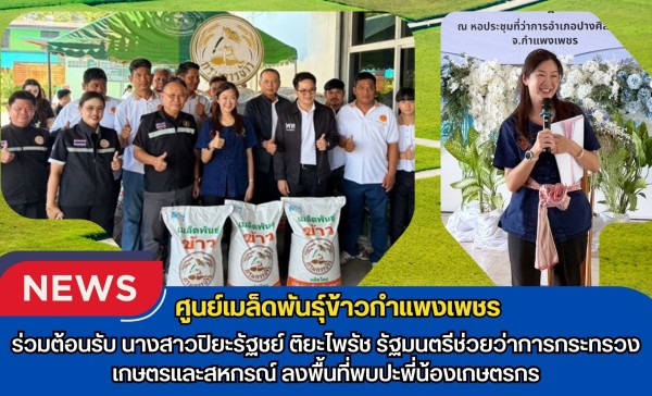 กำแพงเพชร-ศูนย์เมล็ดพันธุ์ข้าวกำแพงเพชร ร่วมต้อนรับนางสาวปิยะรัฐชย์ ติยะไพรัช รัฐมนตรีช่วยว่าการกระทรวงเกษตรและสหกรณ์ ลงพื้นที่ พบปะพี่น้องเกษตรกร
