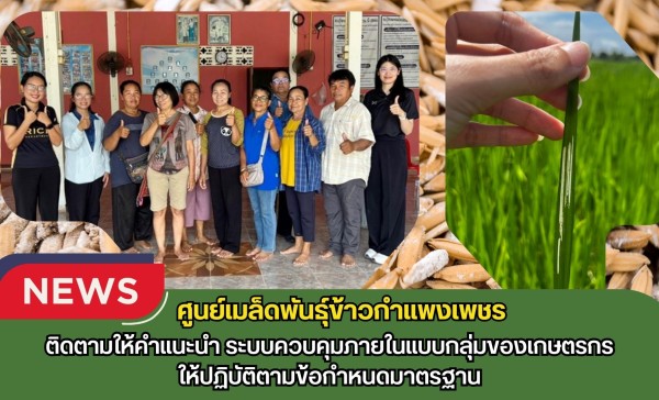 กำแพงเพชร-ศูนย์เมล็ดพันธุ์ข้าวกำแพงเพชร ติดตามให้คำแนะนำ ระบบควบคุมภายในแบบกลุ่มของเกษตรกรให้ปฏิบัติตามข้อกำหนดมาตรฐาน