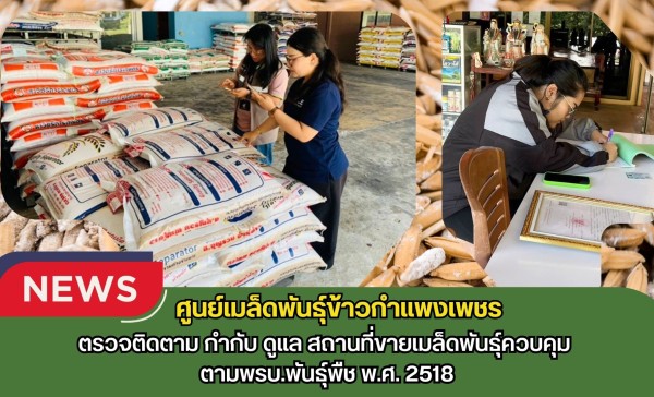 กำแพงเพชร-ศูนย์เมล็ดพันธุ์ข้าวกำแพงเพชร ตรวจติดตาม กำกับ ดูแล สถานที่ขายเมล็ดพันธุ์ควบคุม ตามพรบ.พันธุ์พืช พ.ศ. 2518