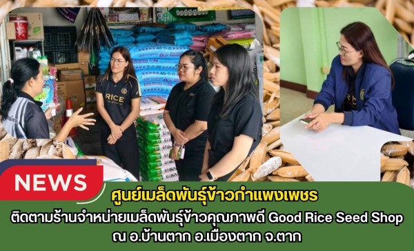 กำแพงเพชร-ศูนย์เมล็ดพันธุ์ข้าวกำแพงเพชร ติดตามร้านจำหน่ายเมล็ดพันธุ์ข้าวคุณภาพดี Good Rice Seed Shop