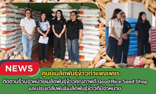 กำแพงเพชร-ศูนย์เมล็ดพันธุ์ข้าวกำแพงเพชร ติดตามร้านจำหน่ายเมล็ดพันธุ์ข้าวคุณภาพดี Good Rice Seed Shopและประชาสัมพันธ์เมล็ดพันธุ์ข้าวที่มีจำหน่าย