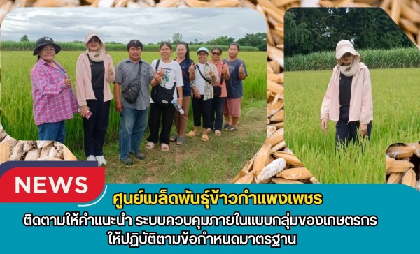 กำแพงเพชร-ศูนย์เมล็ดพันธุ์ข้าวกำแพงเพชร ติดตามให้คำแนะนำ ระบบควบคุมภายในแบบกลุ่มของเกษตรกร ให้ปฏิบัติตามข้อกำหนดมาตรฐาน