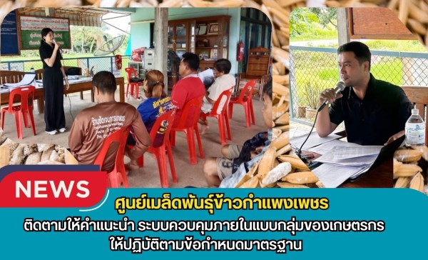 กำแพงเพชร-ศูนย์เมล็ดพันธุ์ข้าวกำแพงเพชร ติดตามให้คำแนะนำ ระบบควบคุมภายในแบบกลุ่มของเกษตรกร ให้ปฏิบัติตามข้อกำหนดมาตรฐาน