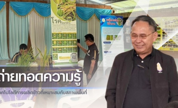 กำแพงเพชร-ศูนย์เมล็ดพันธุ์ข้าวกำแพงเพชร จัดประชุมถ่ายทอดความรู้เทคโนโลยีการผลิตข้าวที่เหมาะสมกับสภาพพื้นที่