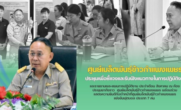 กำแพงเพชร-ศูนย์เมล็ดพันธุ์ข้าวกำแพงเพชร ประชุมเพื่อชี้แจงและรับฟังแนวทางในการปฏิบัติงานและรายงานผล-แผนการปฏิบัติงาน